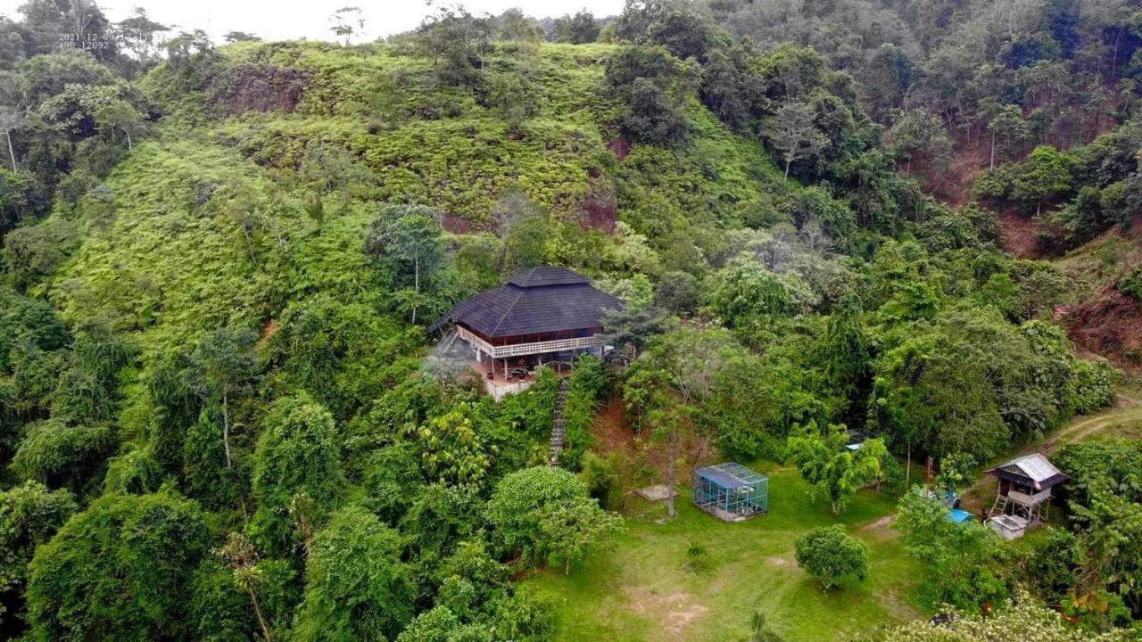 Bukit Lawang Hill Resort Exteriör bild