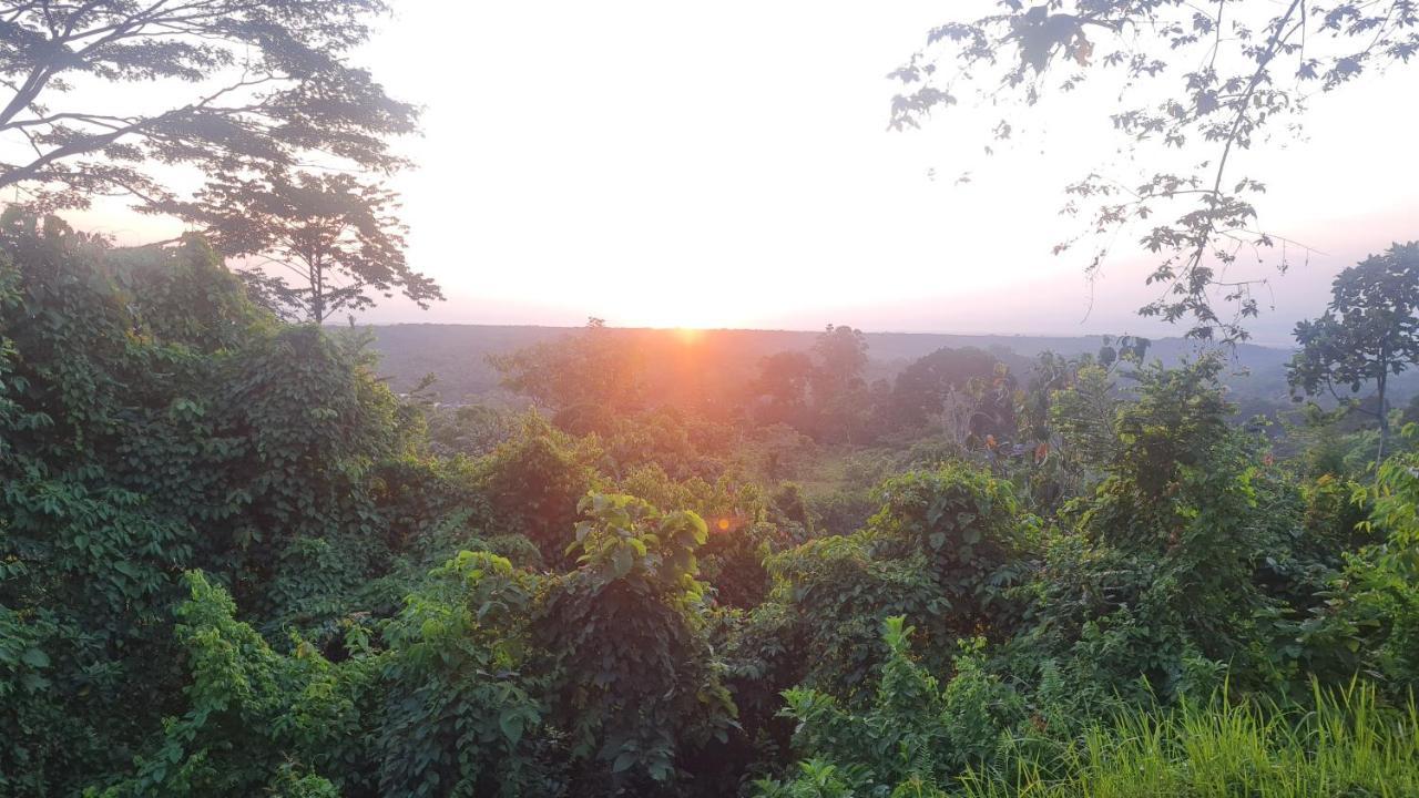 Bukit Lawang Hill Resort Exteriör bild